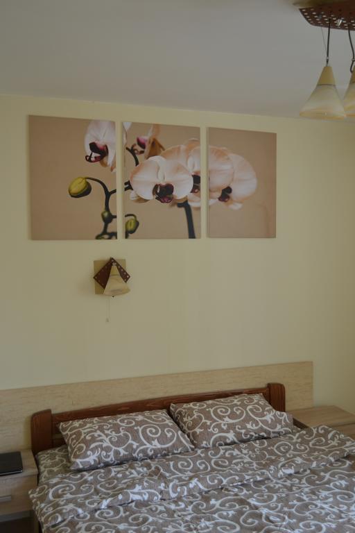 Catedra View Apartment Ternopil Buitenkant foto