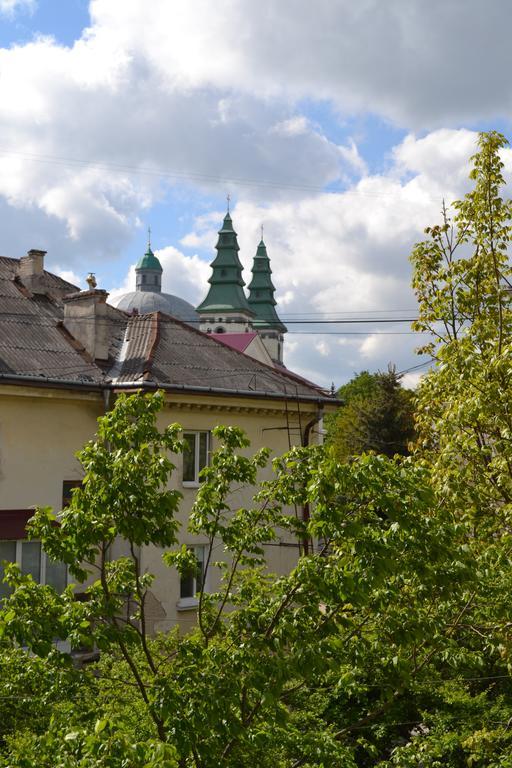Catedra View Apartment Ternopil Buitenkant foto